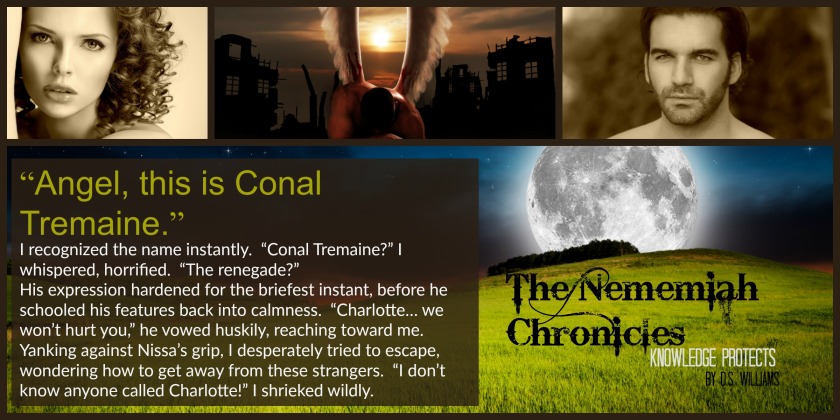 Teaser 5 - Conal Tremaine - The Renegade